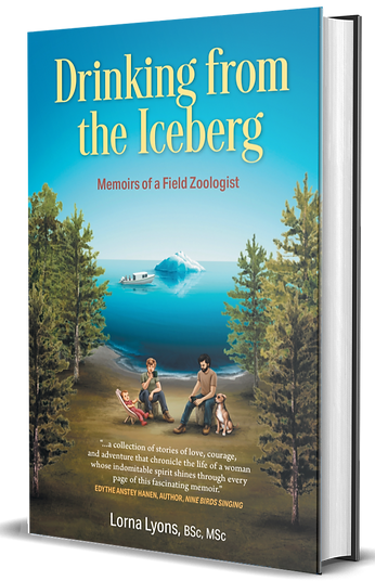 3D Hardcover Mockup