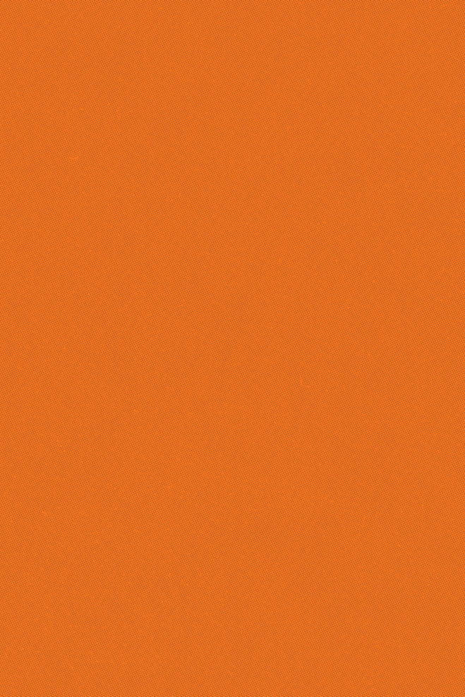 BackCover-BG.jpg