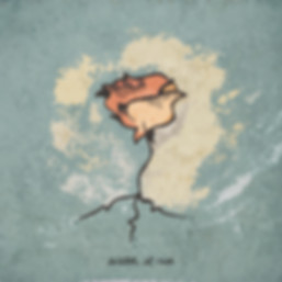 Watch It Rise - Luci
