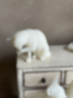 Thumbnail: DISCONTINUED UNPAINTED CATS