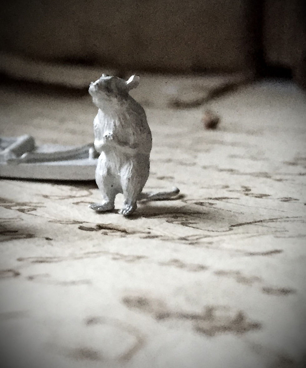 Thumbnail: 12th scale Rats (choose from a selection)