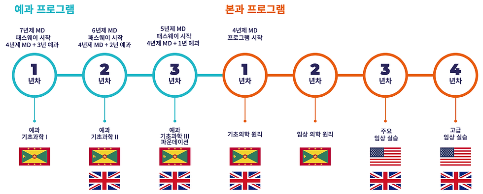 세인트 조지 의대 과정
