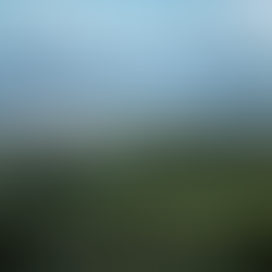 Indonesia Earthquake: 7.4 Magnitude Quake Shakes Molucca Sea Region