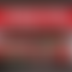 Jollyes Pets Sets Out Bold ‘Unapologetic’ Marketing Strategy to Power Growth