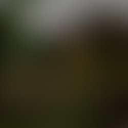 D7VK 1.8 Released: Improving Vulkan Support for Legacy Direct3D