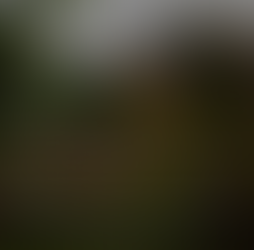 D7VK 1.8 Released: Improving Vulkan Support for Legacy Direct3D