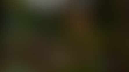 D7VK 1.8 Released: Improving Vulkan Support for Legacy Direct3D