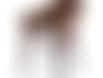 最高級シリーズ Yan Lipao(ヤンリパオ)