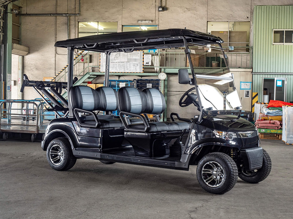 ROYPOW LFPバッテリー標準搭載ゴルフカート STAR-EV CAPELLA