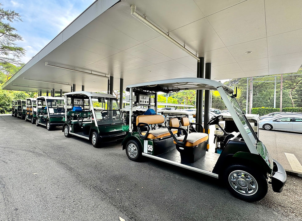 屋根付き車寄せに緑と白のゴルフカートがずらりと並び、先頭車に55の番号が見える静かな屋外駐車場。