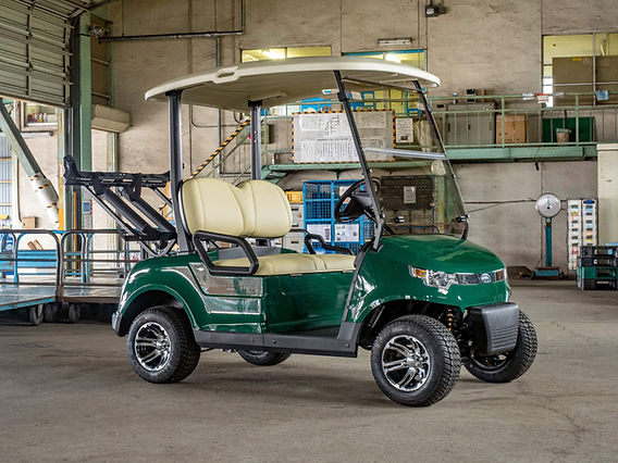 ROYPOW LFPバッテリー標準搭載ゴルフカート STAR-EV CAPELLA