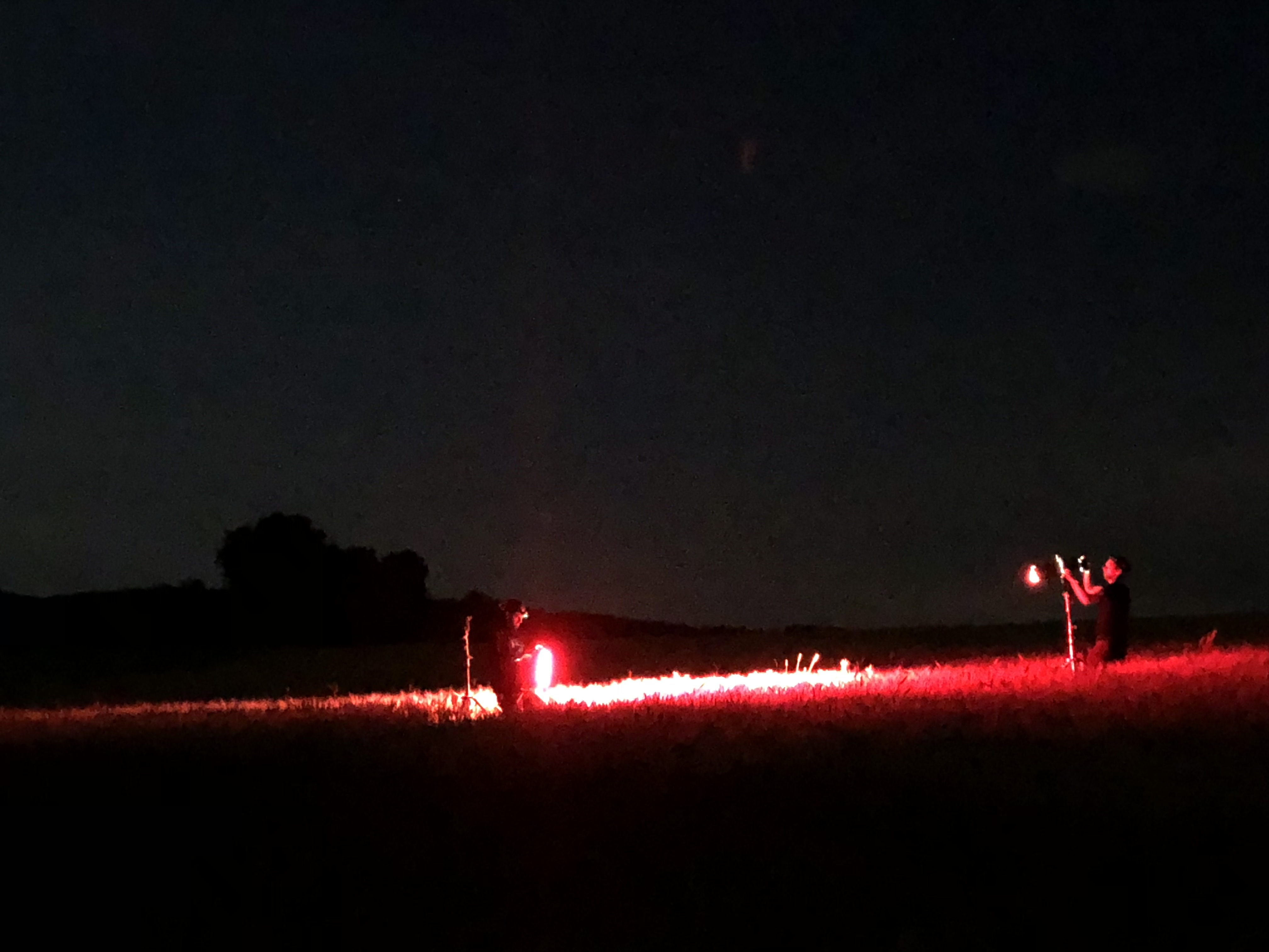 Current Value That Smile Dan Frantz Dp current value that smile dan frantz dp