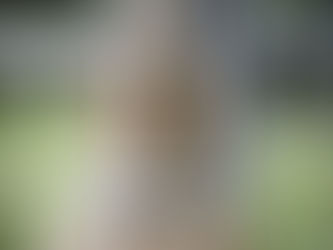 Wedding Videos from Prosperity Mansion