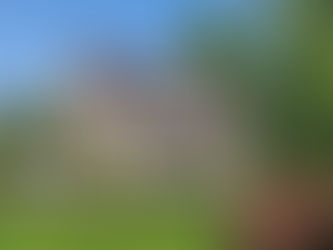 Prosperity Mansion - Frederick / Carroll Counties newest Wedding & Events Venue--Open House cele