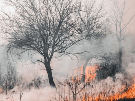 How seniors can prepare for a natural disaster and evacuation