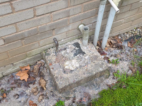 Rat Blitz and food waste