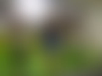 Kids Golf Classes in Miami: Learn, Play & Have Fun at Golf Miami