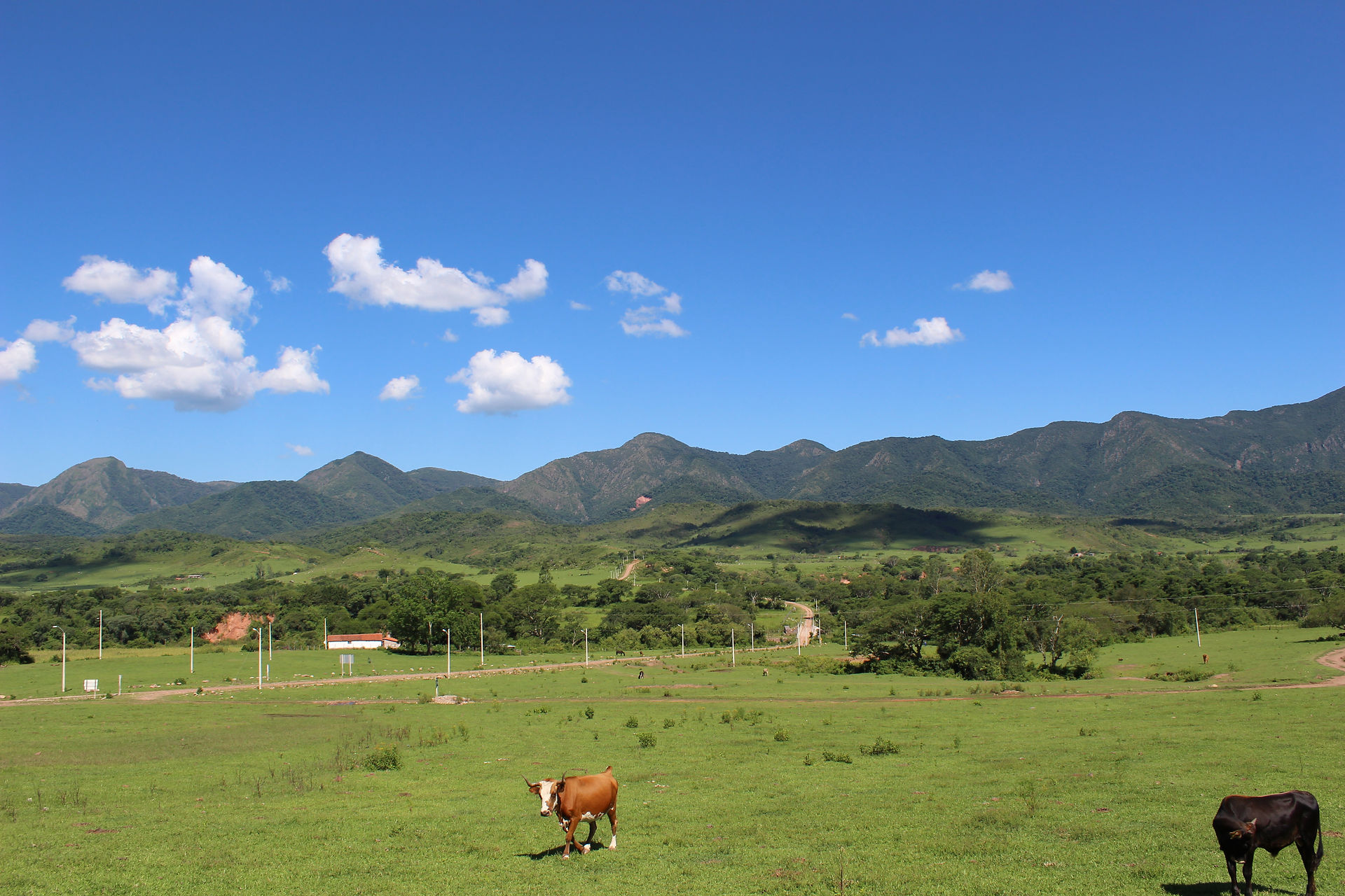 Salinas, réserve de Tariquia