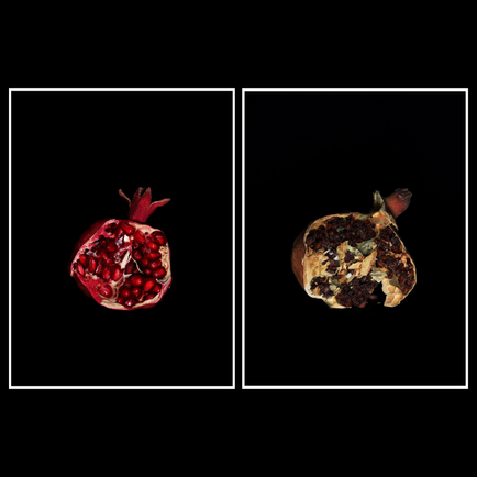 Pomegranate