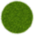 grass.png