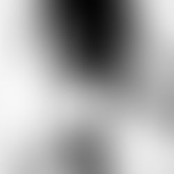 Drying Straight Haircuts: Revealing Shape and Precision