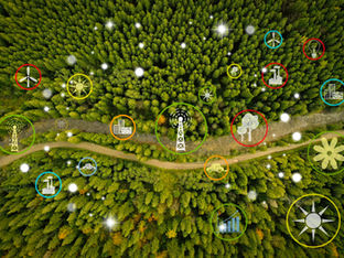 Digital icons of sustainable development goals and view of beautiful forest