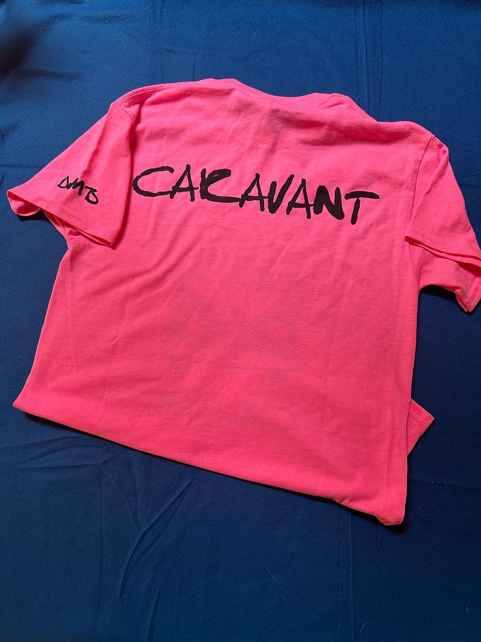 Thumbnail: ECC CaravAnt