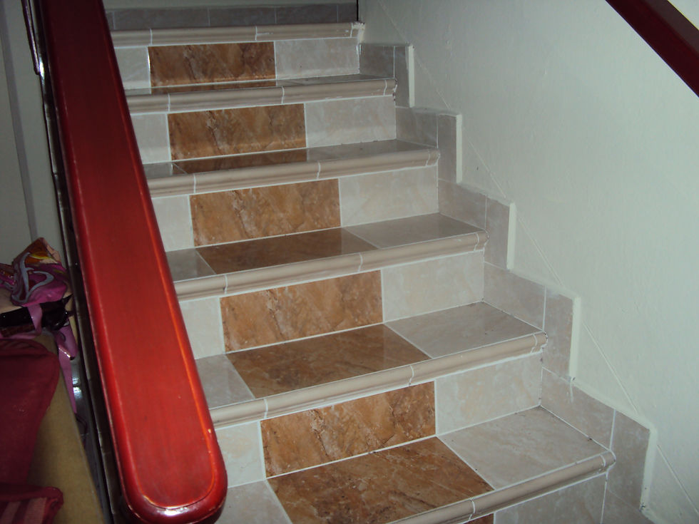 DSC00513