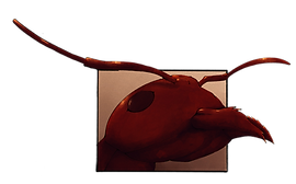 IMG_0533_edited.png