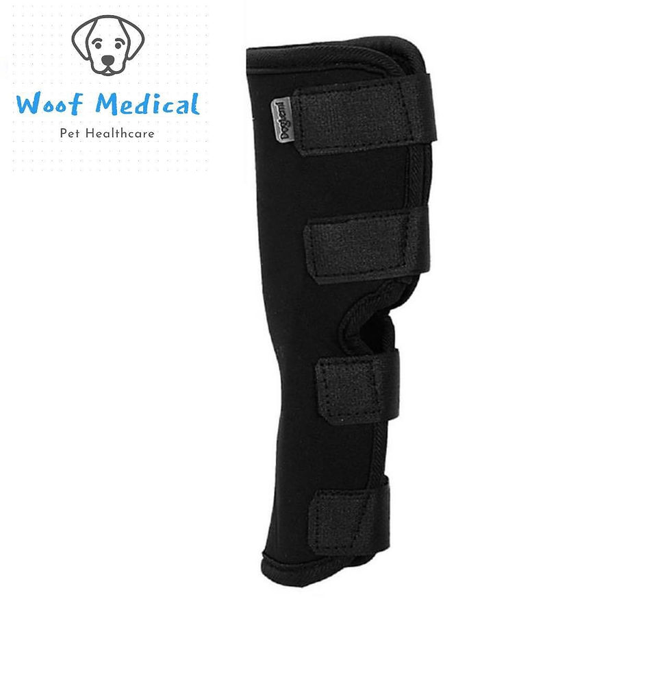 Thumbnail: Dog Hock Brace ( Long )