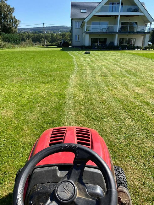 241696784_319509606589200_993259203473693832_n_edited.jpg