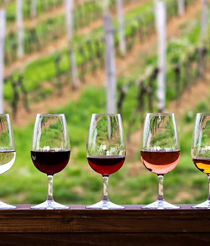 wine-tasting.webp