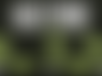 S8UL Signs An All-Australian Apex Legends Lineup For The Upcoming EWC Campaign