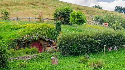 79% of hobbits are underinsured