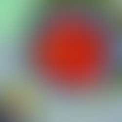 Der Kosten – Nutzen – Faktor