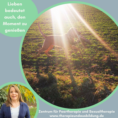 Paartherapieausbildung Zertifikat