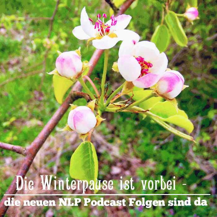 Sexualtherapie-Ausbildung in meiner Nähe