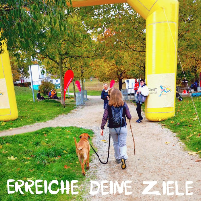 Sexualtherapie Ausbildung