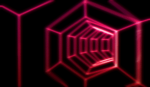 9GJC.gif
