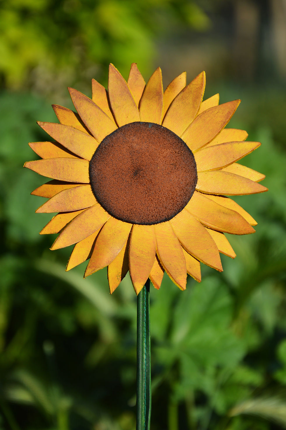 Miniature : Tournesol éternel