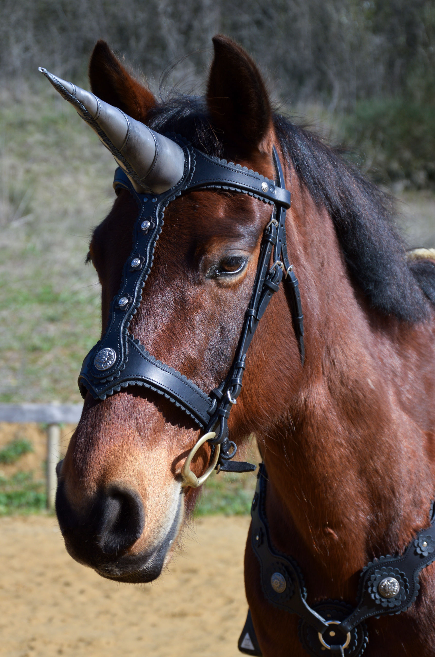 Chanfrein Licorne Noir