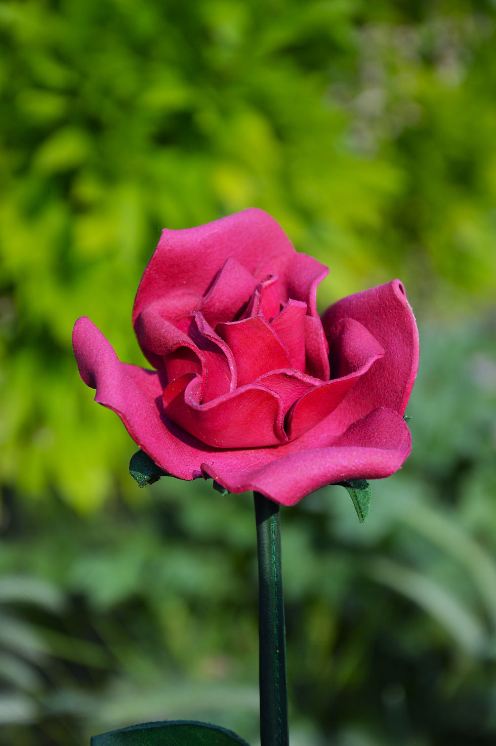 Miniature : Rose éternelle