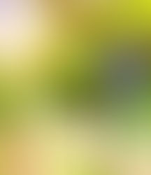 Luxury Kosher Wine Club “Honest Grapes” Celebrates 4th Vintage