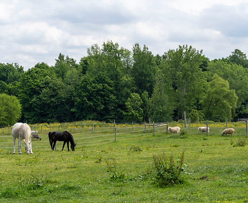 photo of the farm