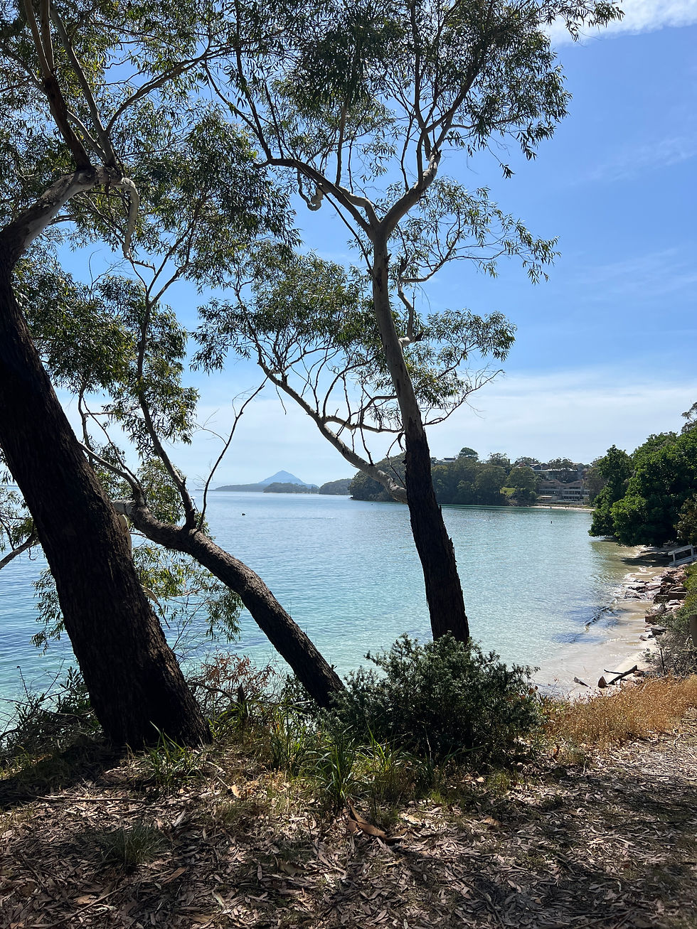 My swimming spot today