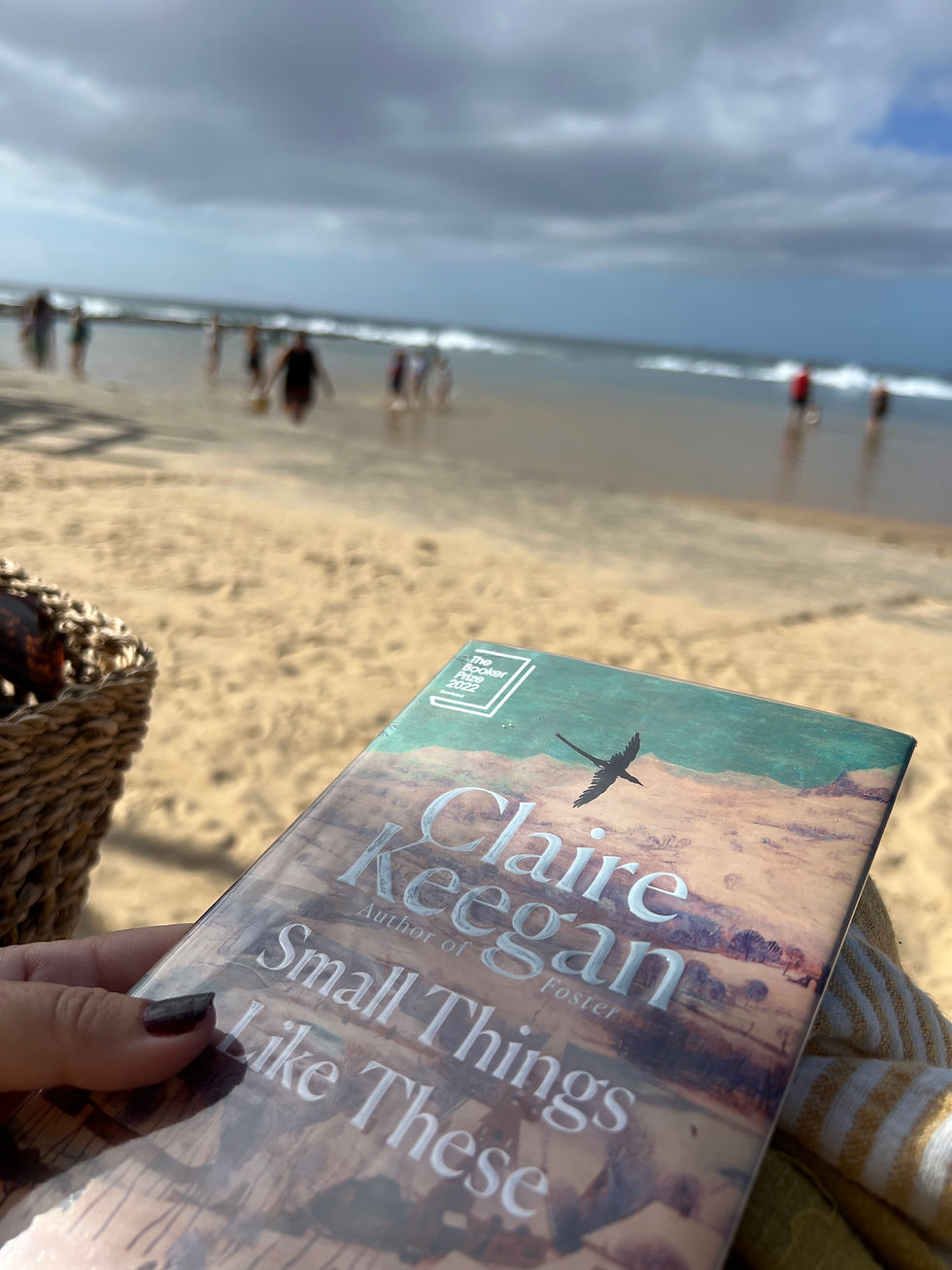a person sitting on the beach reading a book, on her own on Christmas day