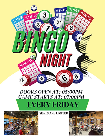 WEB BINGO SITE PIC.png