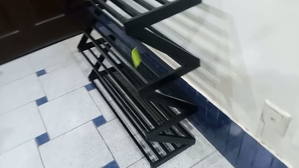 Thumbnail: Iron Shoe Rack
