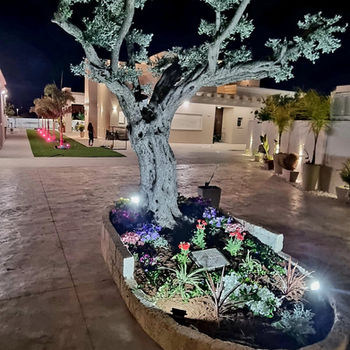 תאורת גן בהתאמה למיקום