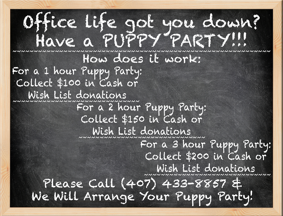 PUPPY PARTY.png